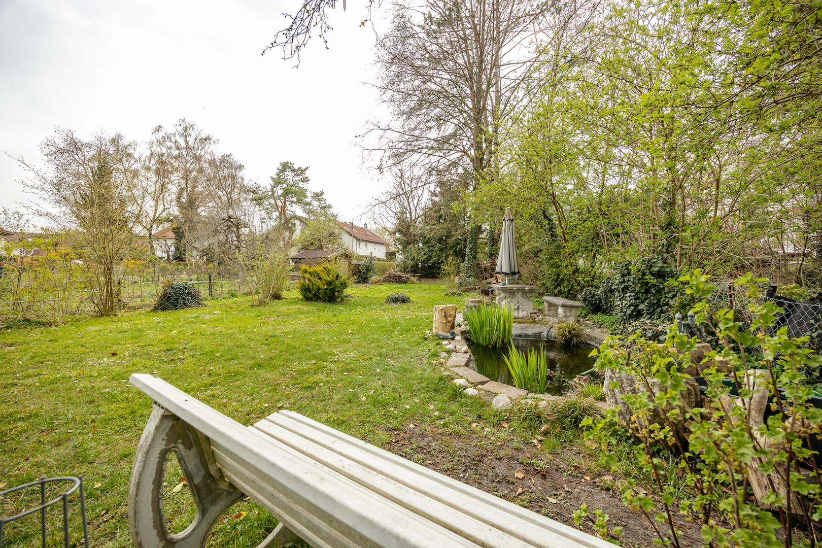 Garten mit Teich