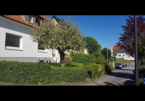 Haus/Vorgarten