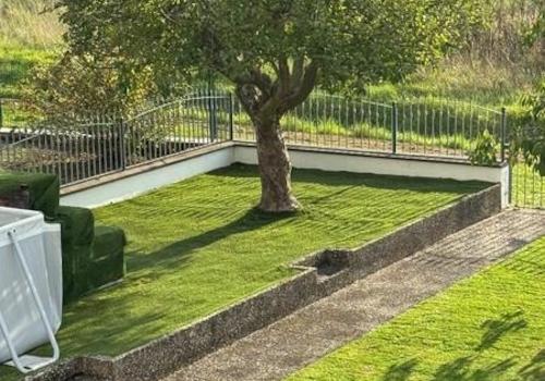 12 Garten Rückseite