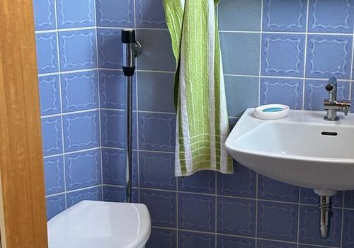 Gäste WC EG