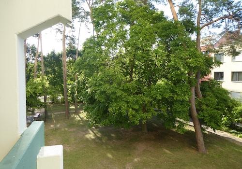 Ausblick vom Balkon