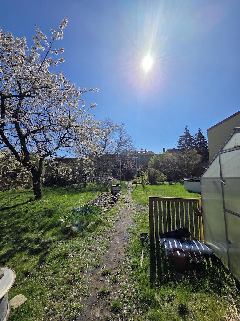Garten_1