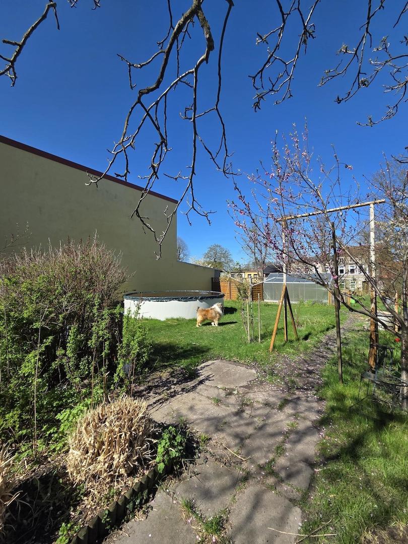 Garten_2