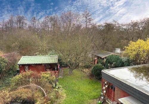 Blick in den Garten