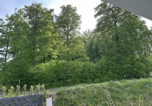 Aussicht Balkon