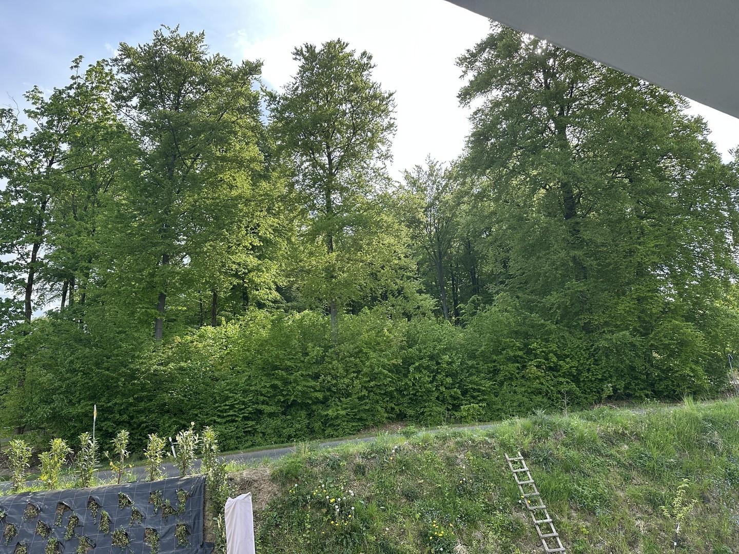 Aussicht Balkon