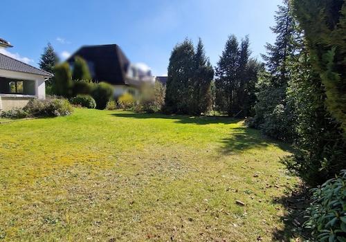 Blick in den Garten