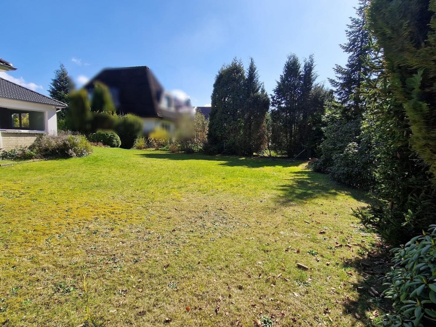 Blick in den Garten