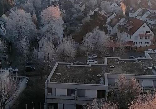 winter