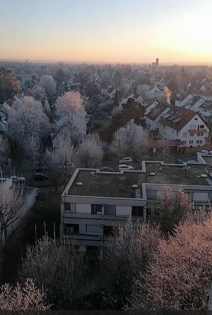 winter