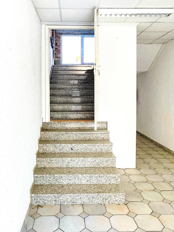 Zum DG
