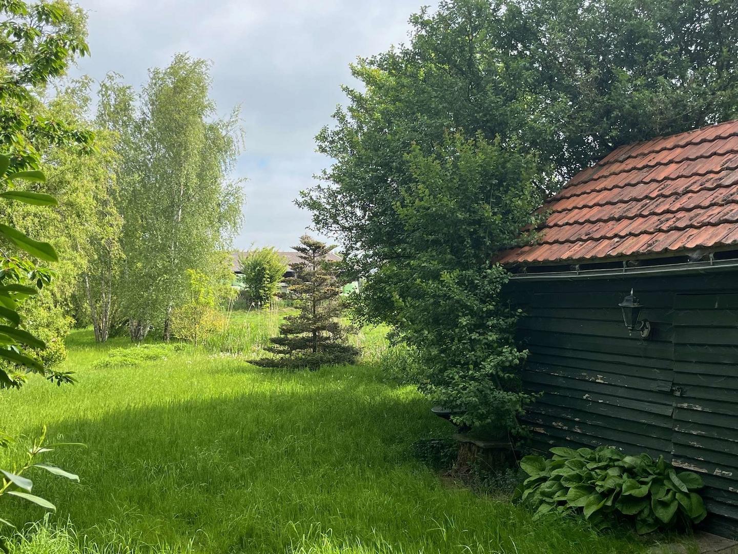 Garten mit Geräteschuppen