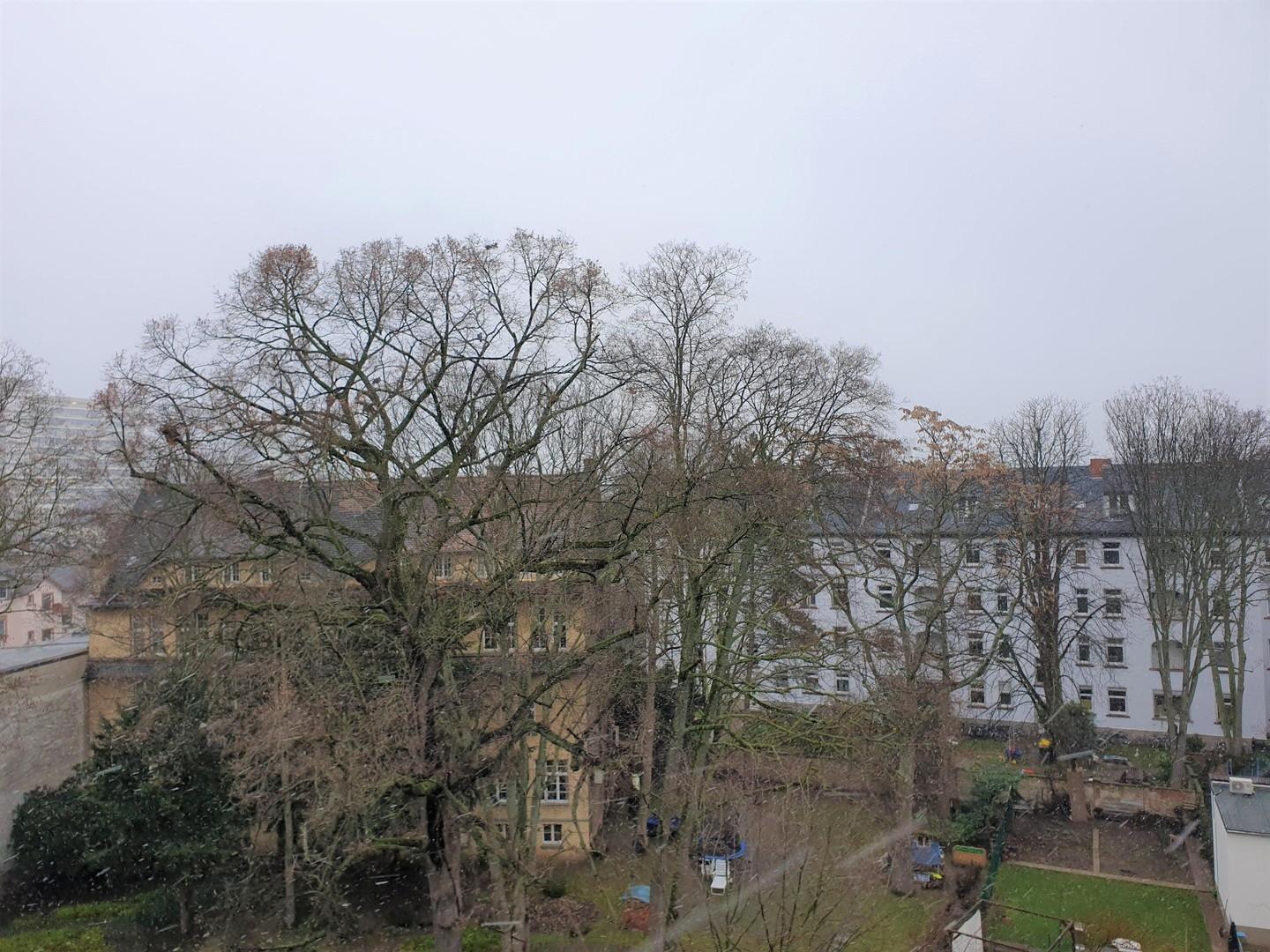 Über den Dächern Osten