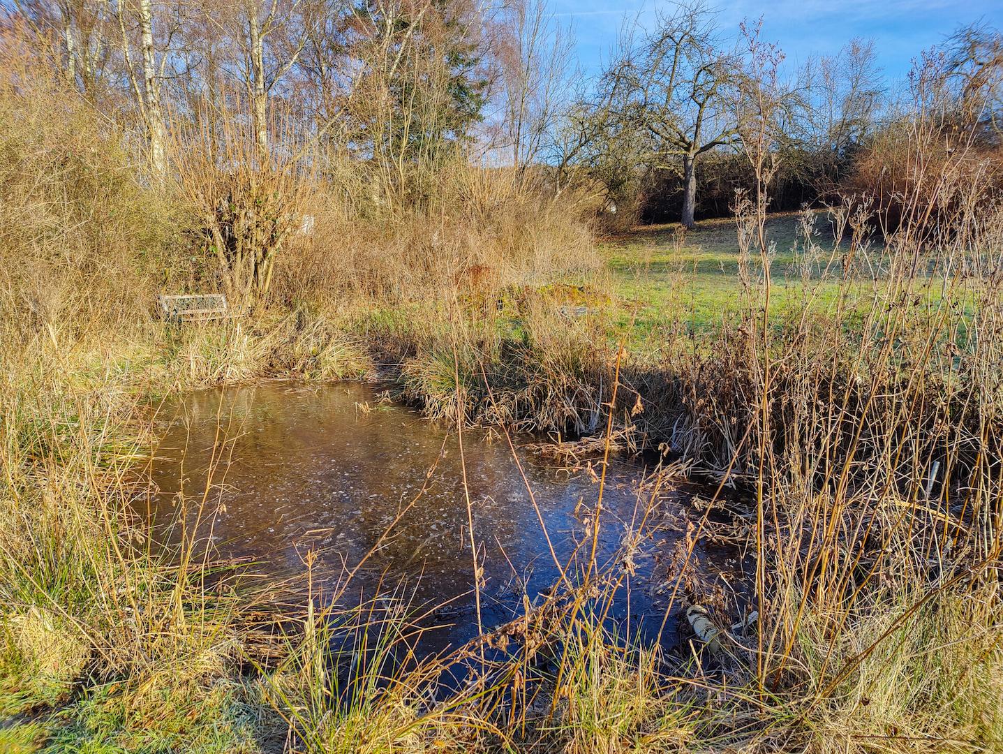 Gartenteich