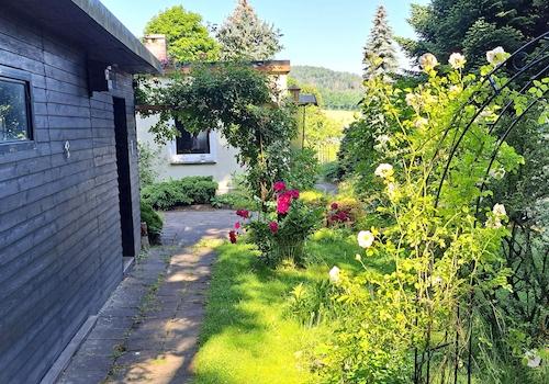Blick in den Garten