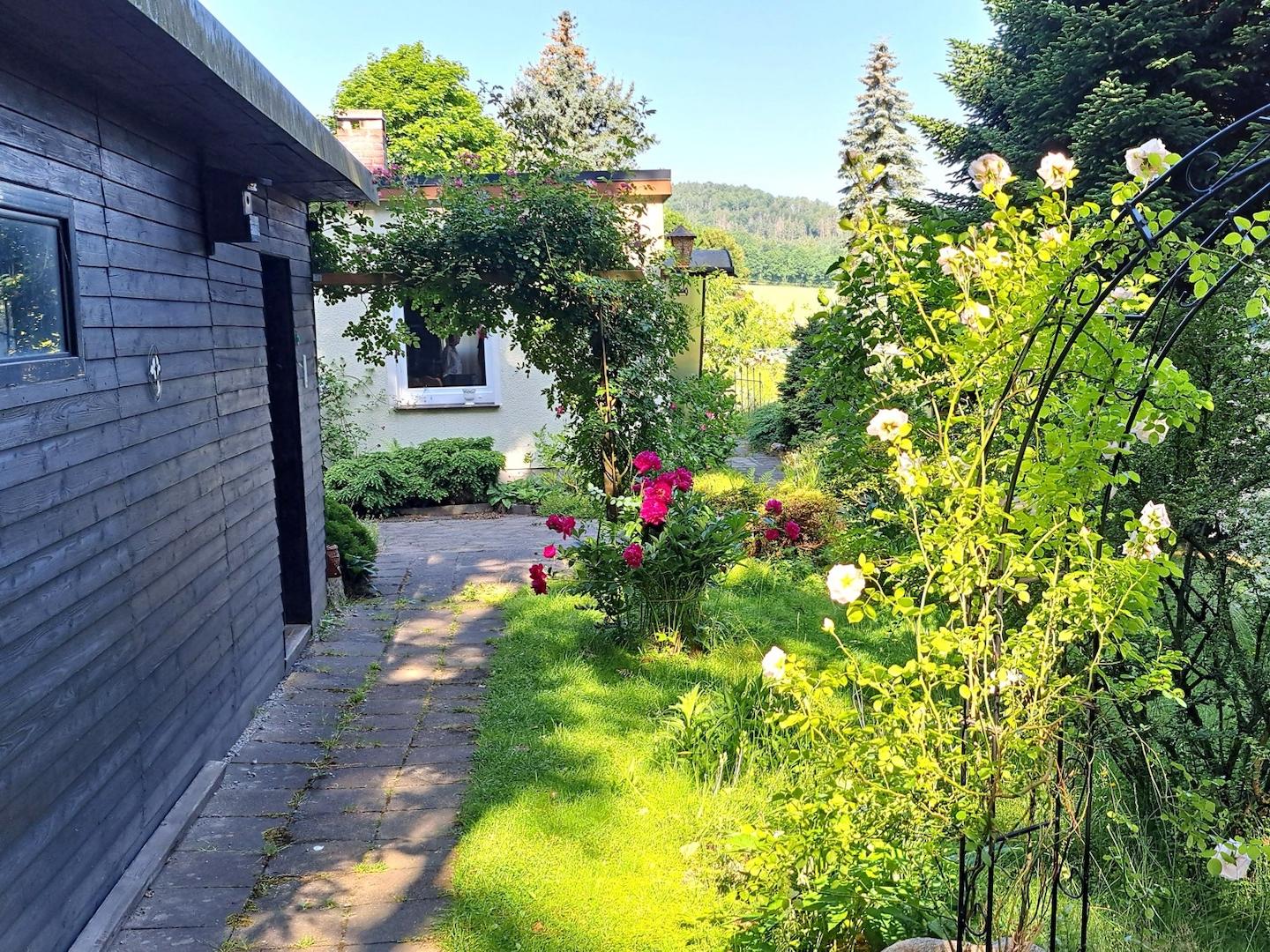 Blick in den Garten