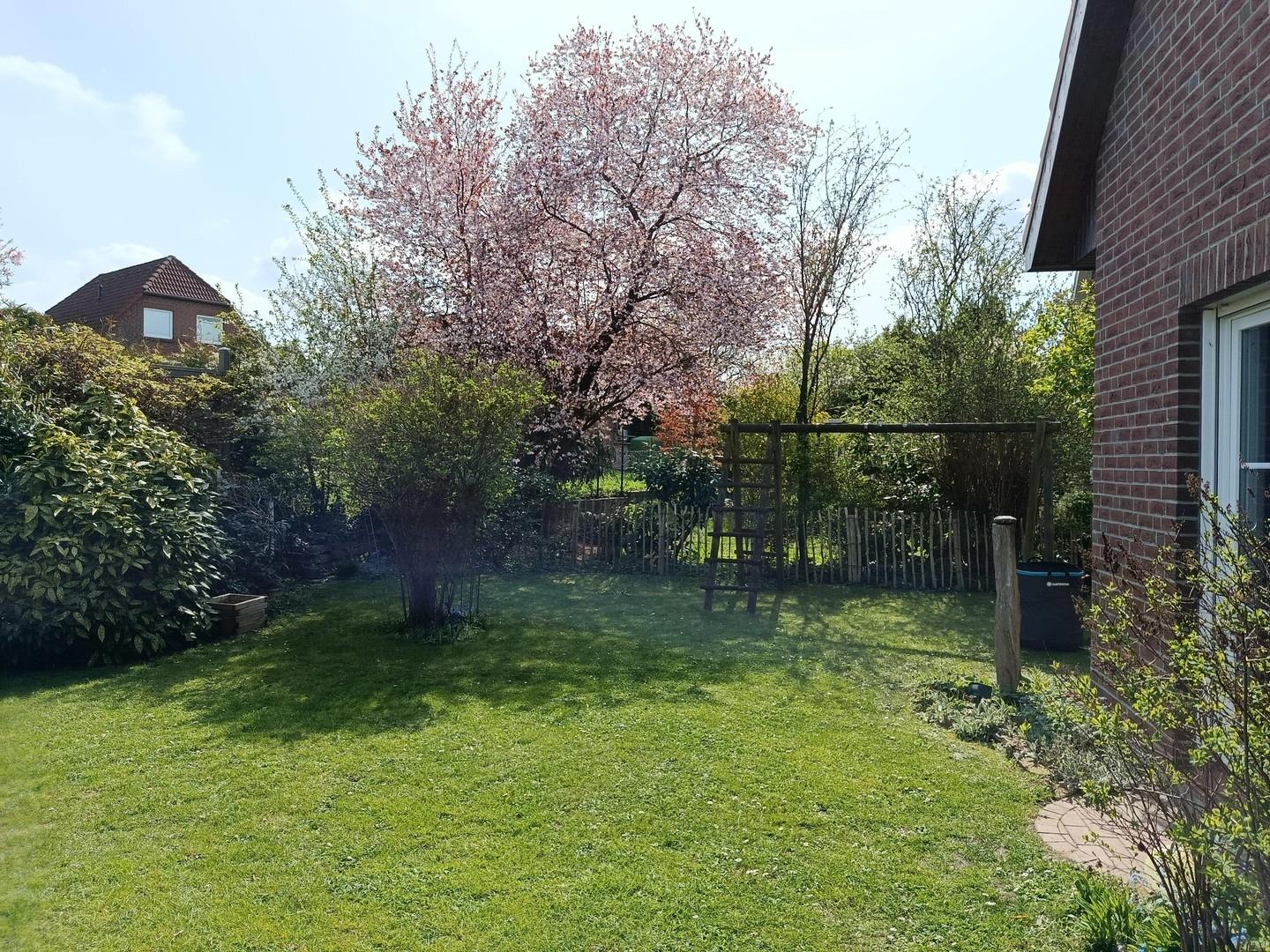Grundstück hinten