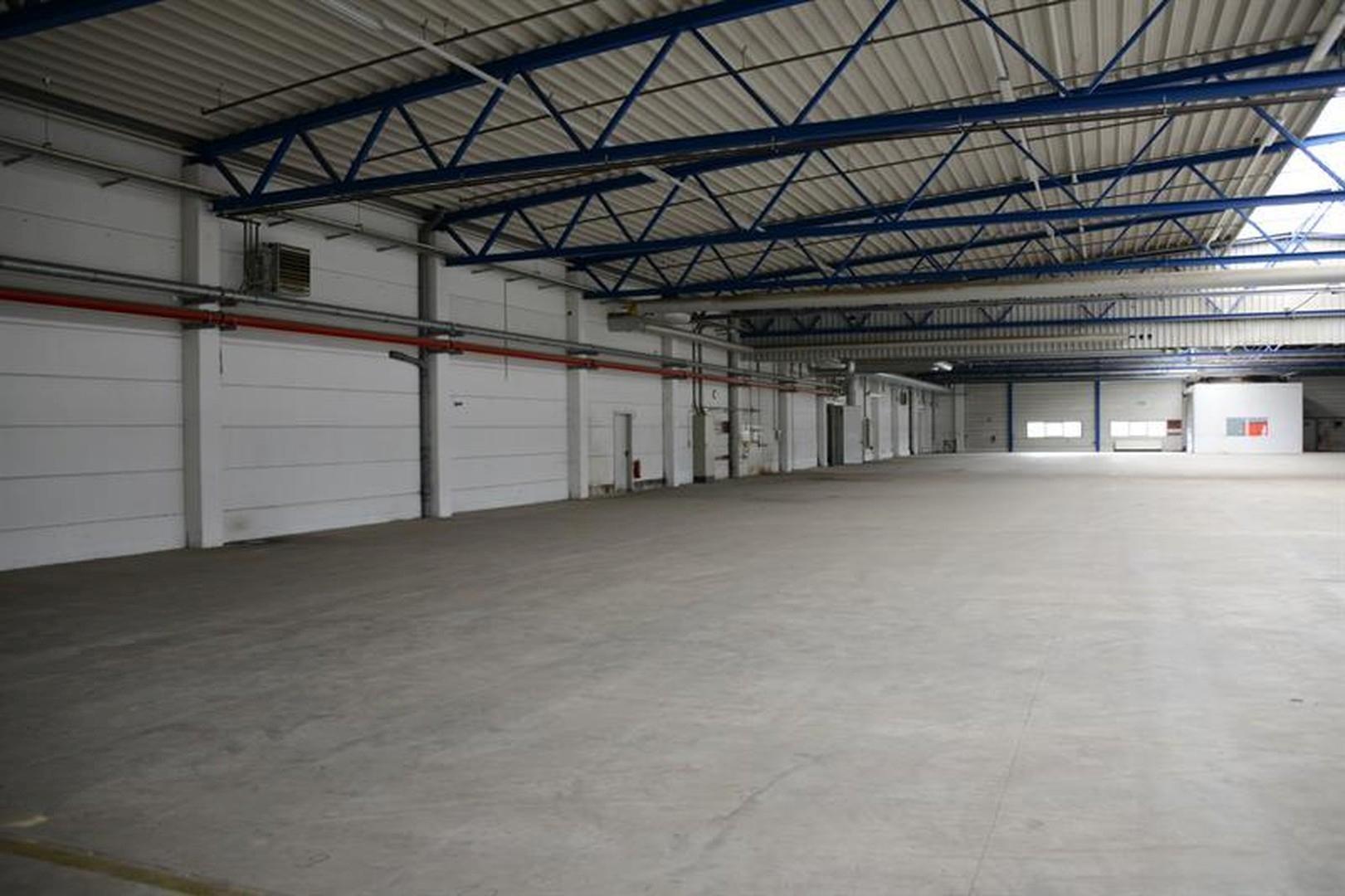Halle 7