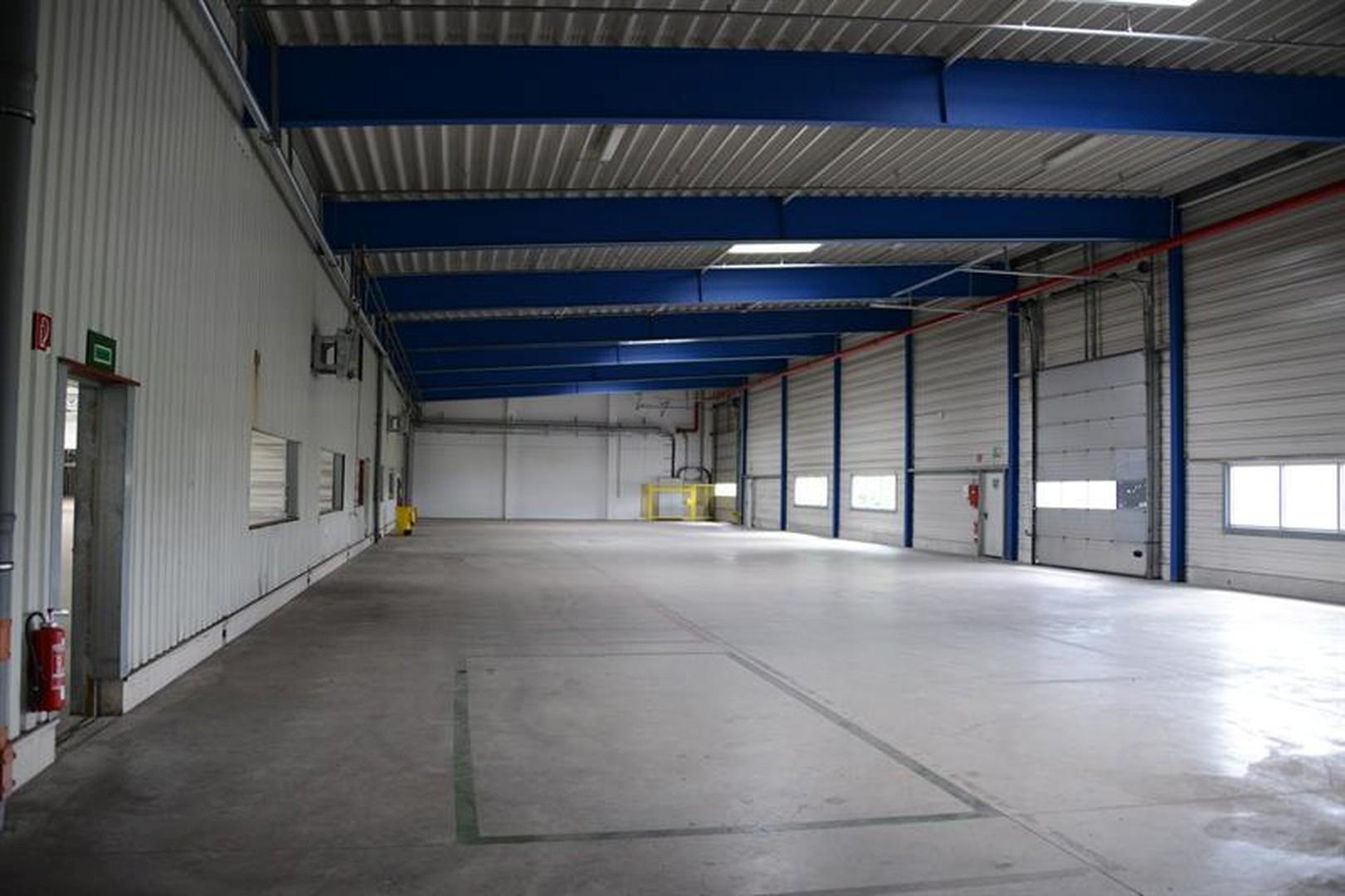 Halle 11