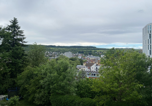 Aussicht Wohnzimmer Westseite 
