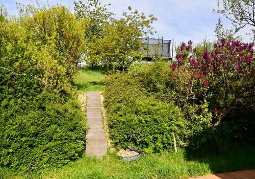 Blick in den Garten
