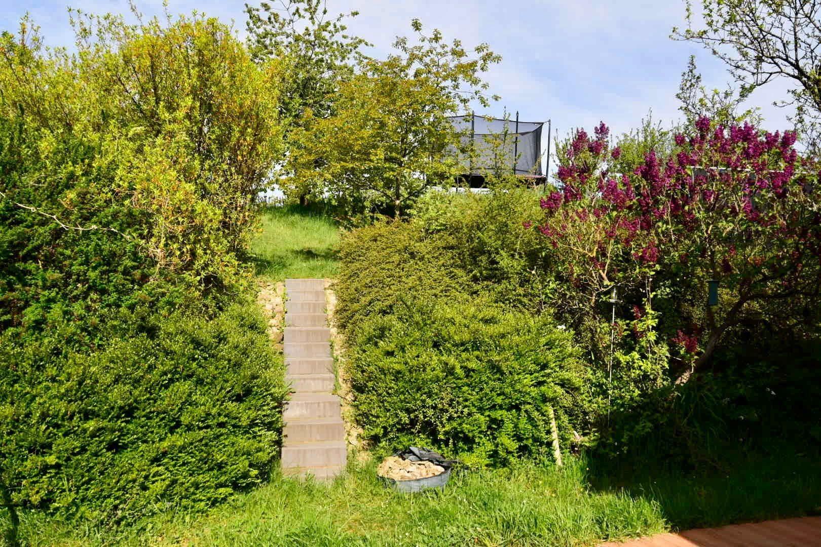 Blick in den Garten