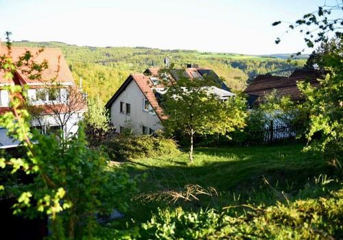 Blick aus dem Garten
