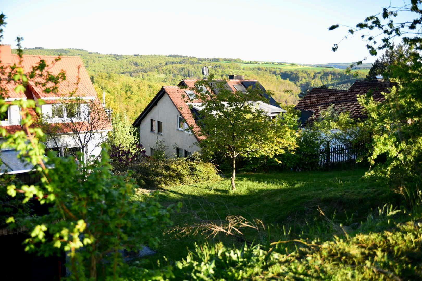 Blick aus dem Garten