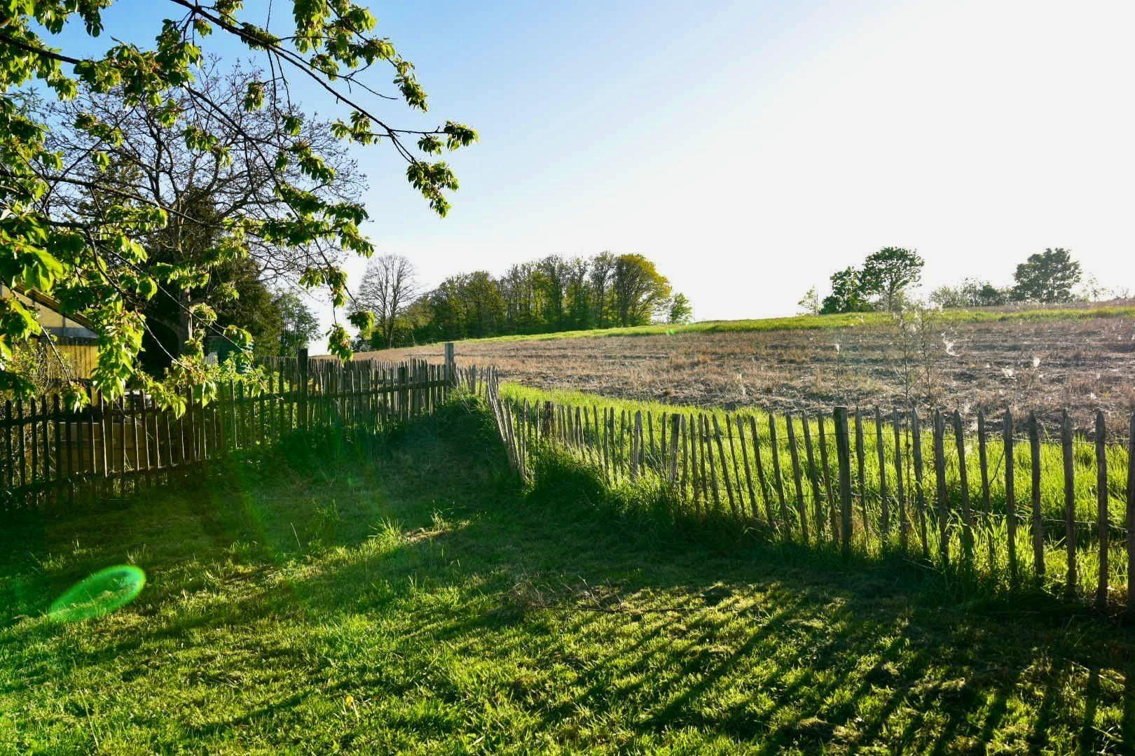 Feldblick aus dem Garten