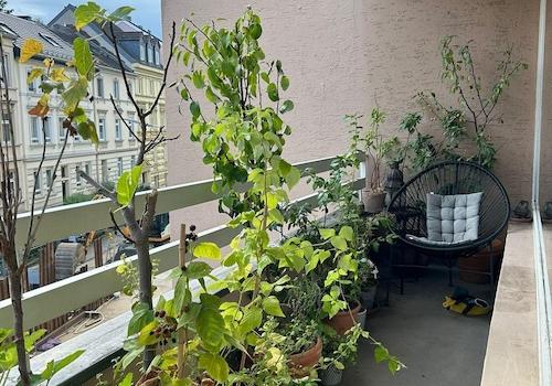 Balkon