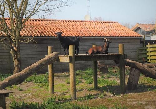 Ferienhaus-Holland-kaufen-vakantiehuistekoop-nl.jpg01