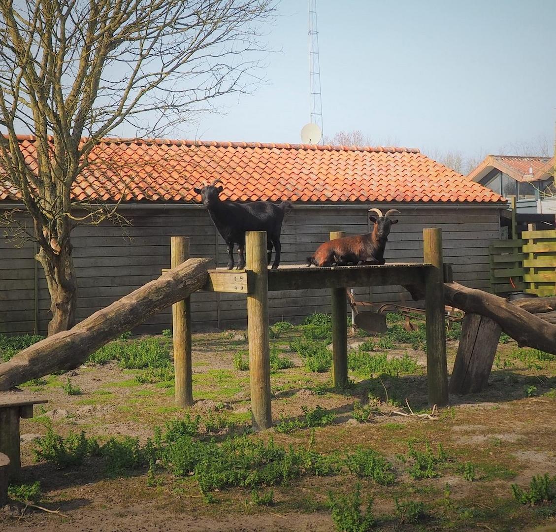 Ferienhaus-Holland-kaufen-vakantiehuistekoop-nl.jpg01