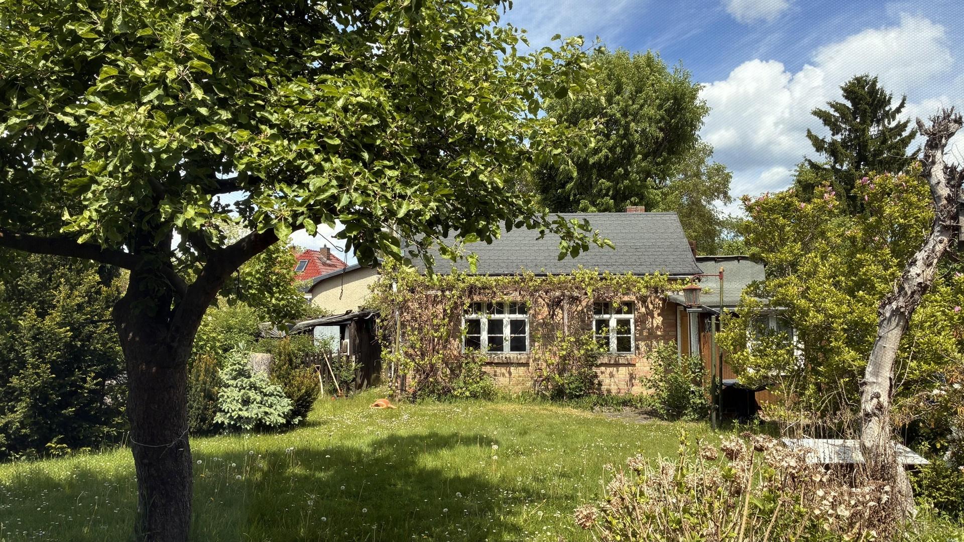 Garten hinten und Laube