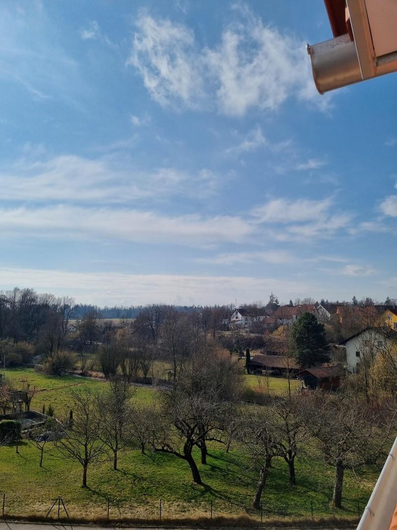 Blick auf kleinen Bach