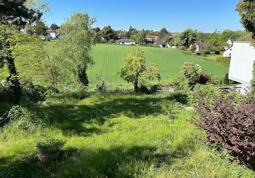 ... Blick ins Grüne
