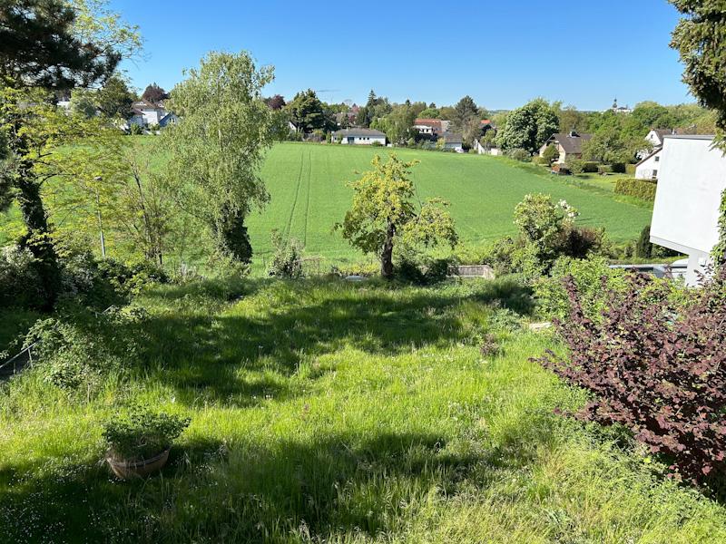 ... Blick ins Grüne