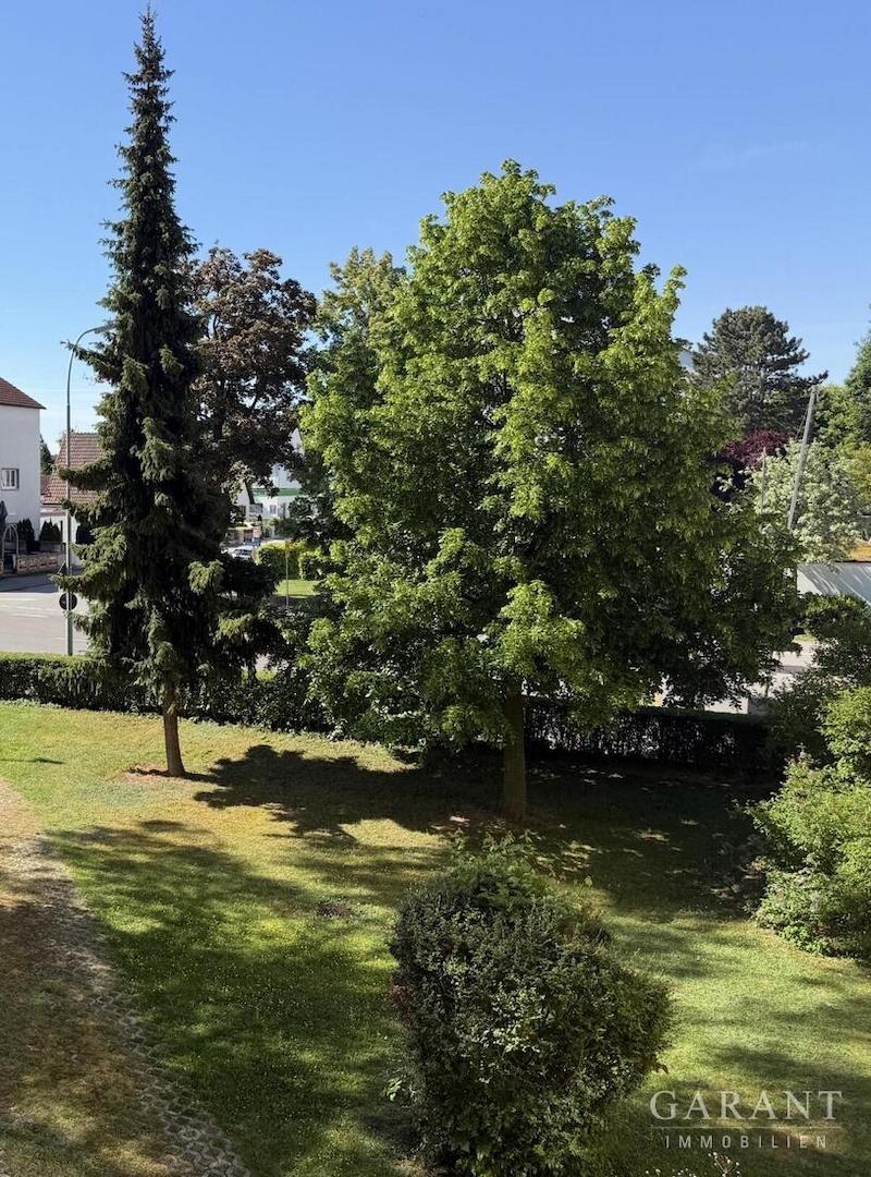 Blick vom Balkon