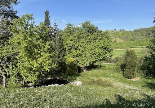 Garten mit Seerosen Teich