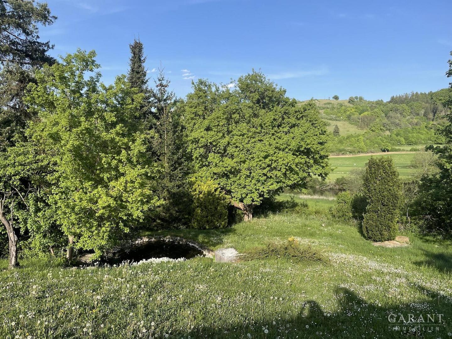 Garten mit Seerosen Teich