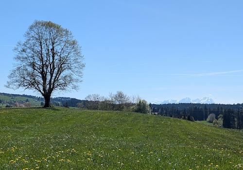 Aussicht