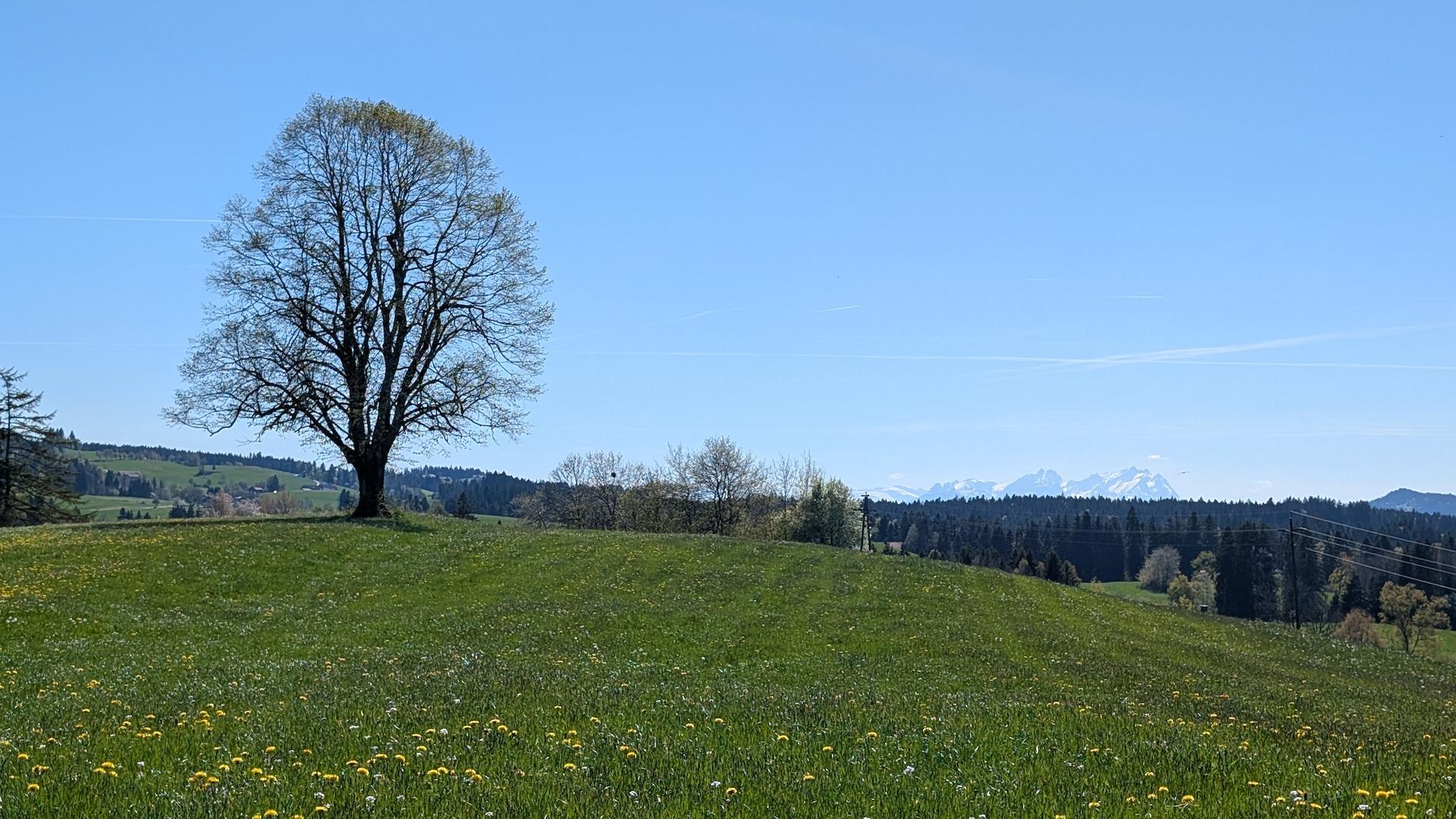 Aussicht