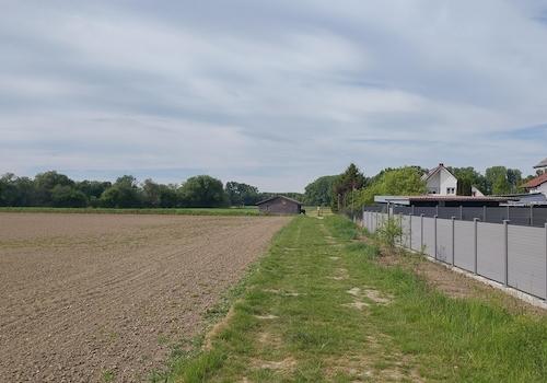 Fernsicht