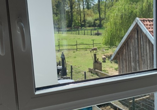 Blick ins Grüne