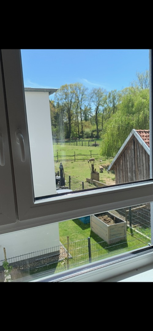 Blick ins Grüne