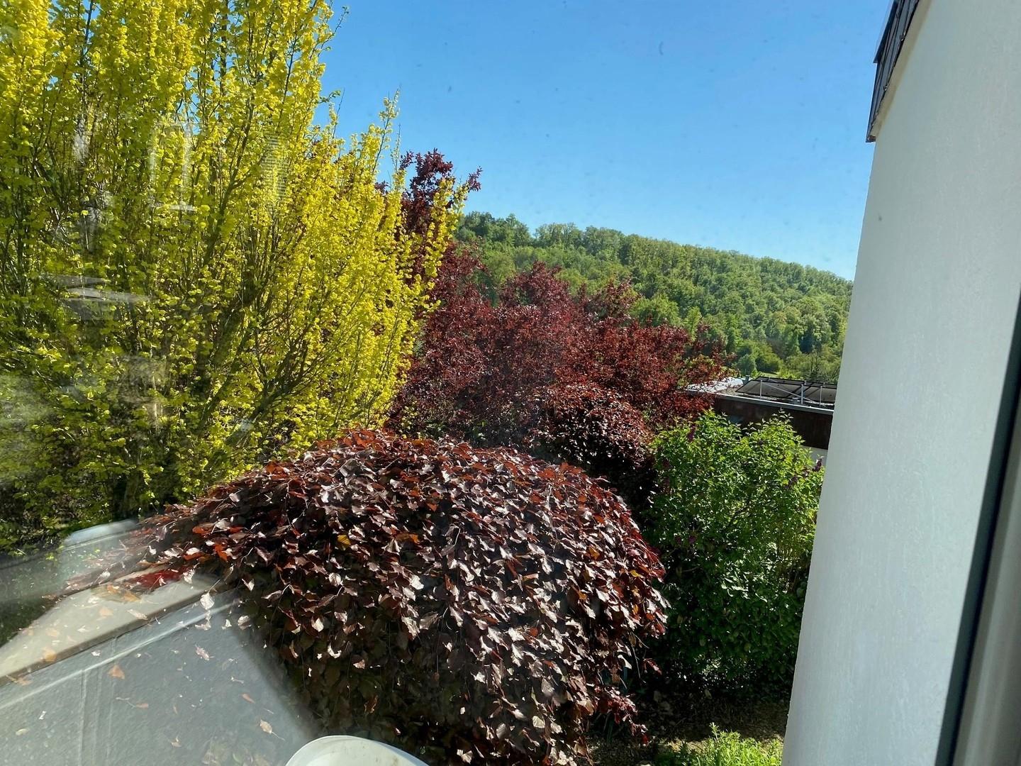 Blick durch das Wohnzimmer