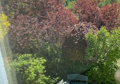 Blick durch das Wohnzimmer