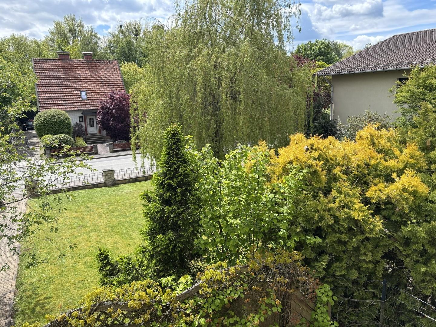 Gartenaussicht vom Balkon
