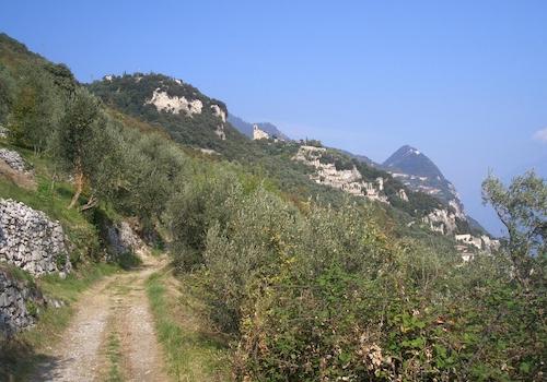 Radeln u. wandern bei Piovere