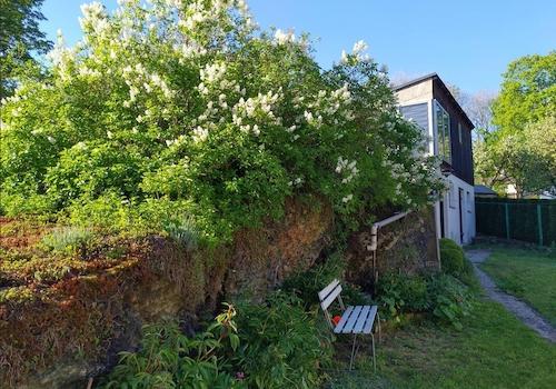 Garten mit Schuppen