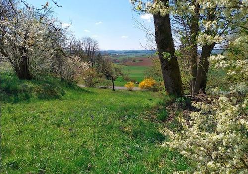 Gartenausblick Richtung Süd